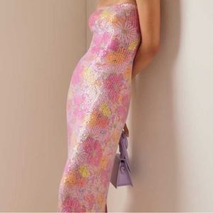 Tannie Tube Dress LoveShackFancy